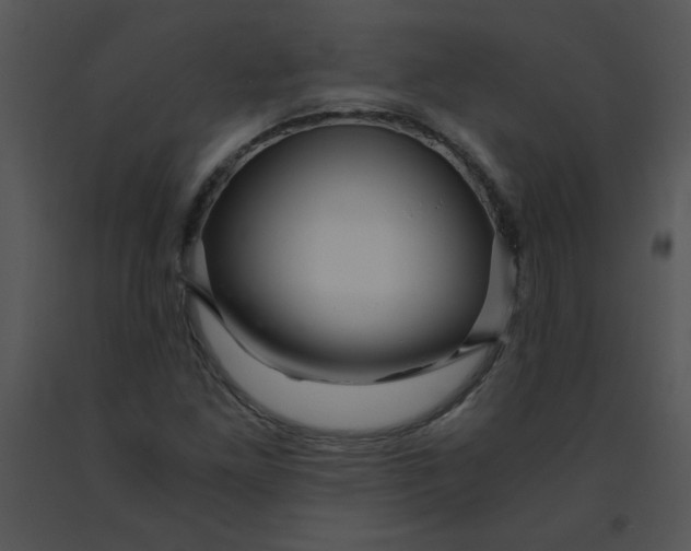 X0000091361261200708311457
