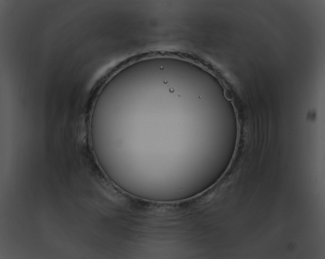 X0000091361262200708311457