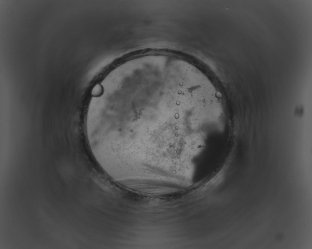 X0000091361263200708311457