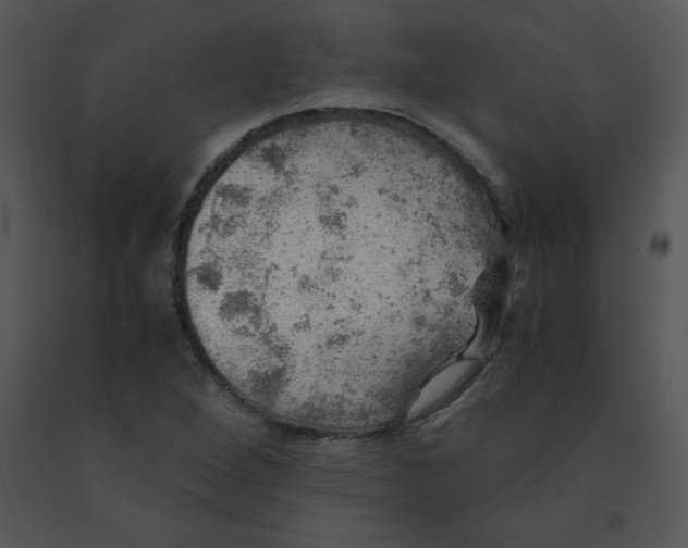 X0000091361264200708311457
