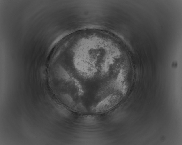 X0000091361266200708311457