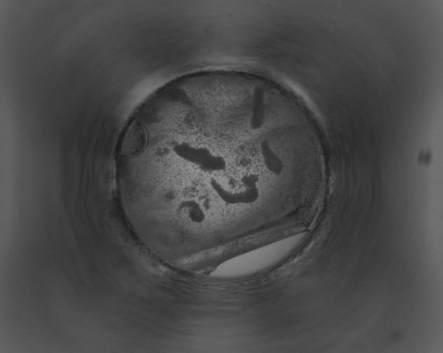X0000091361267200708311457