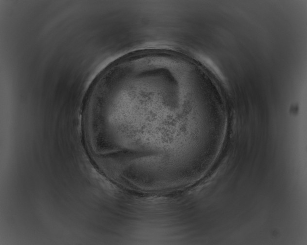 X0000091361268200708311457
