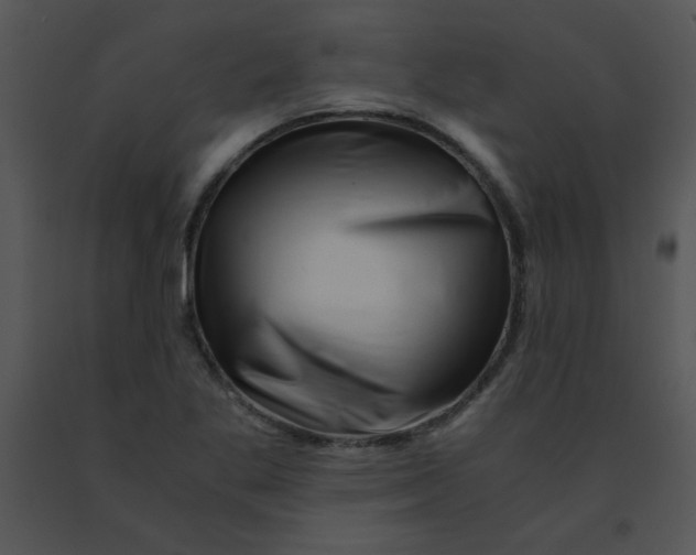 X0000091361269200708311457