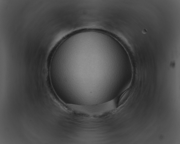 X0000091361270200708311457