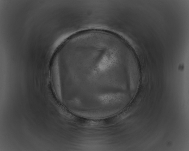 X0000091361271200708311457