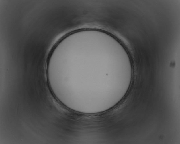 X0000091361272200708311457