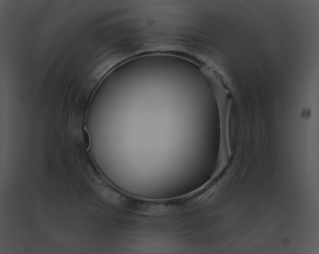 X0000091361273200708311457