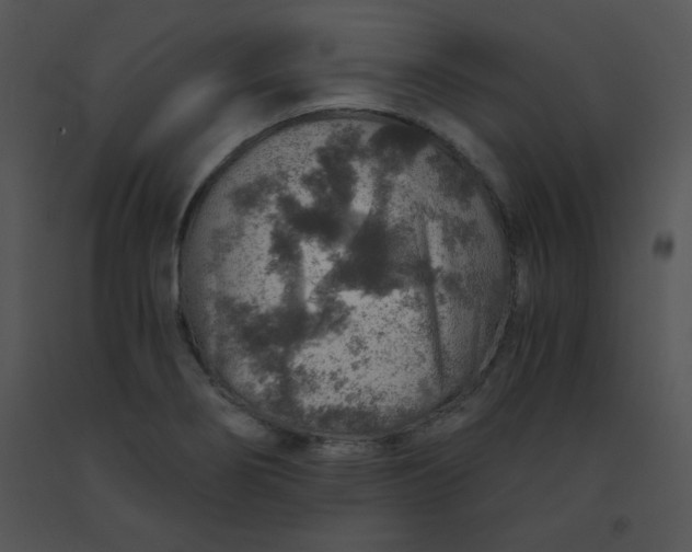 X0000091361274200708311457