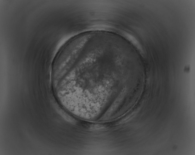 X0000091361275200708311457