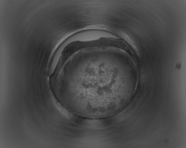 X0000091361276200708311457