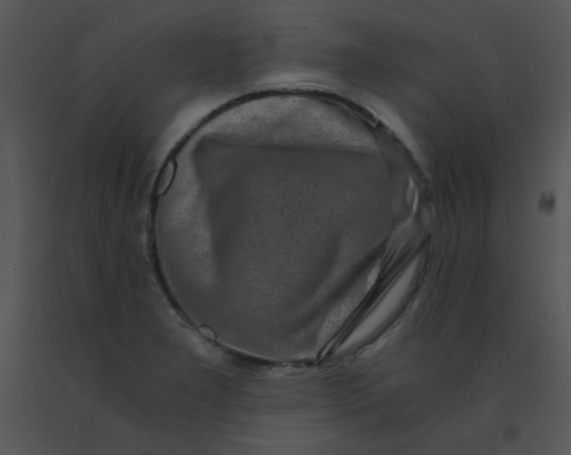 X0000091361277200708311457
