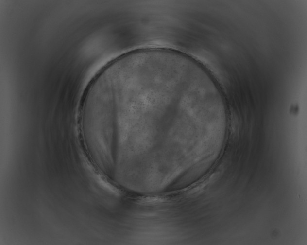 X0000091361278200708311457