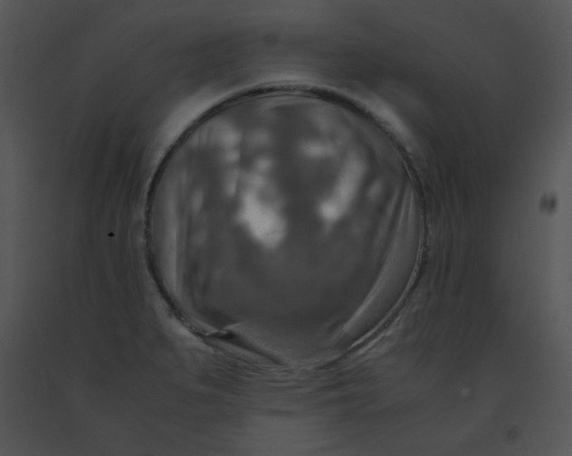 X0000091361279200708311457
