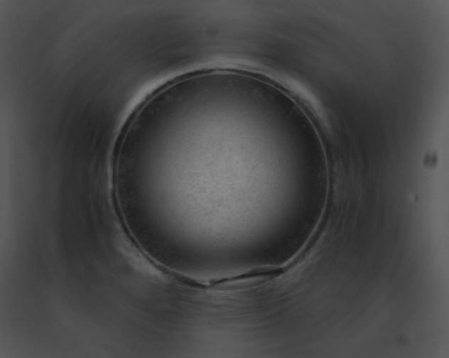 X0000091361280200708311457