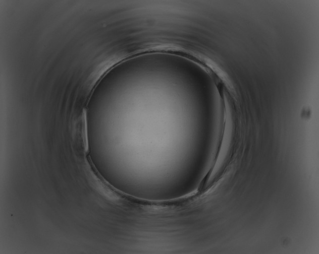X0000091361281200708311457