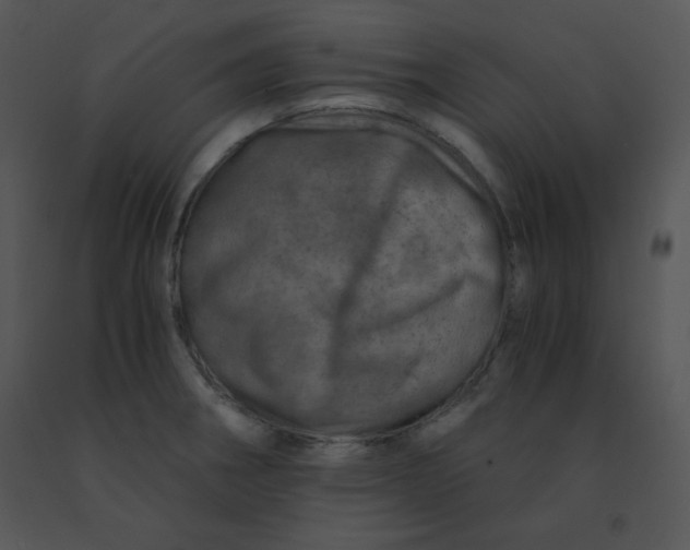 X0000091361282200708311457