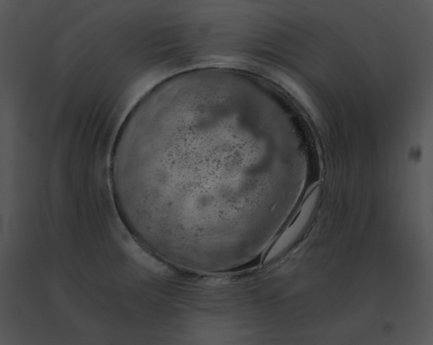X0000091361283200708311457