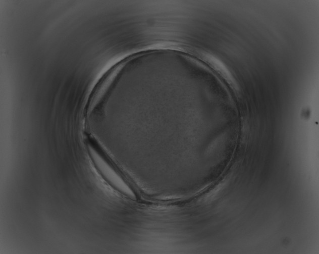 X0000091361284200708311457