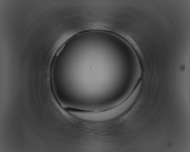 X0000091361285200708311457