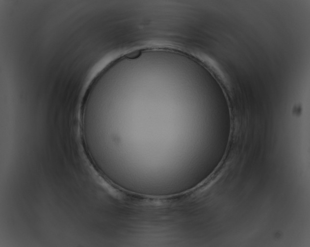 X0000091361286200708311457