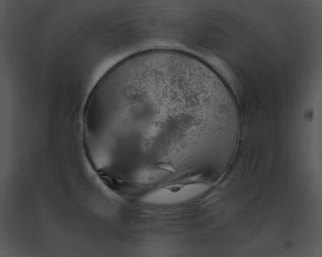 X0000091361287200708311457