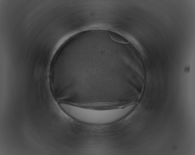 X0000091361288200708311457