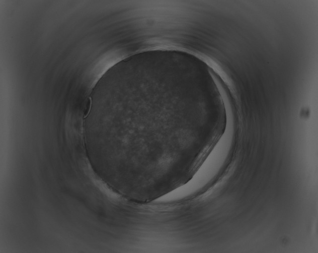 X0000091361289200708311457