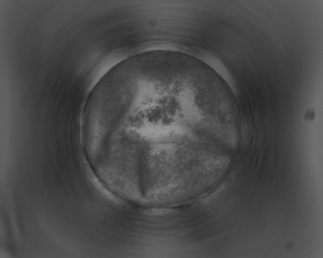 X0000091361290200708311457