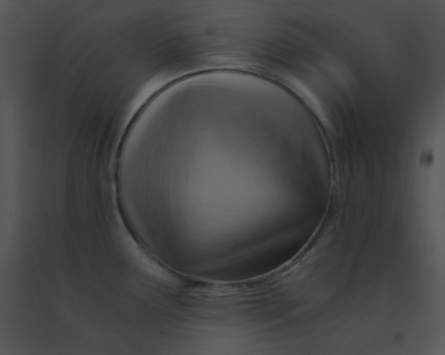 X0000091361291200708311457