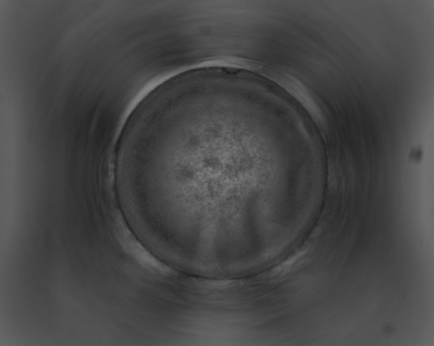 X0000091361292200708311457