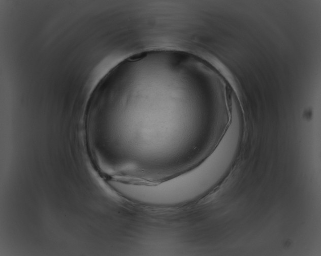 X0000091361293200708311457
