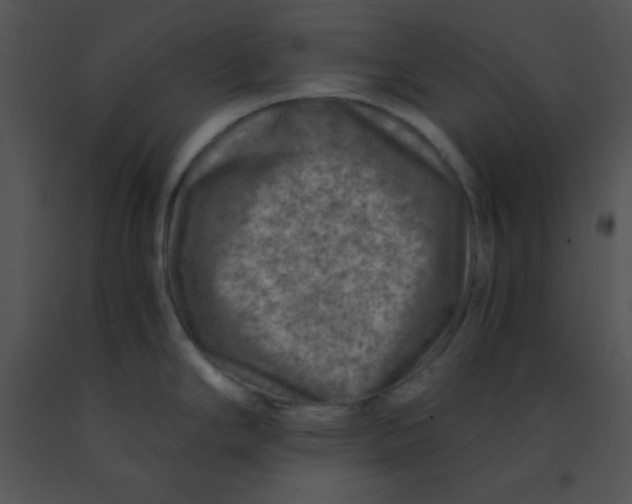 X0000091361294200708311457