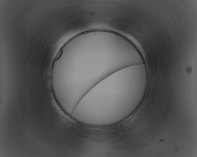 X0000091361295200708311457