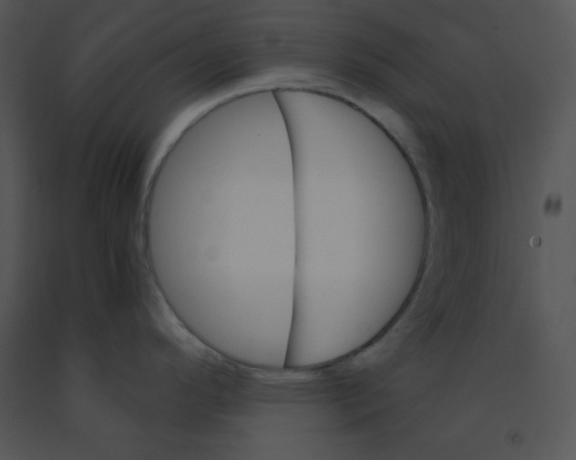 X0000091361296200708311457