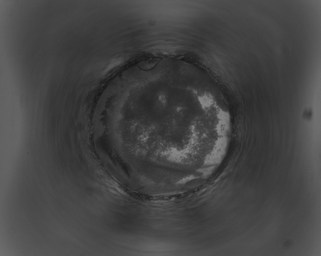 X0000091361297200708311456