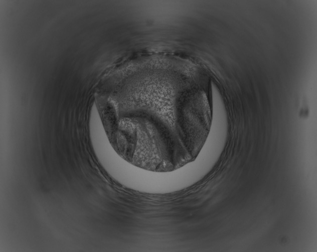 X0000091361298200708311456