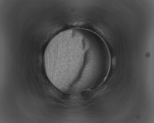 X0000091361299200708311456