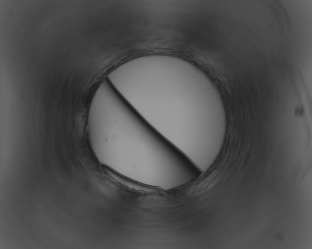 X0000091361300200708311456