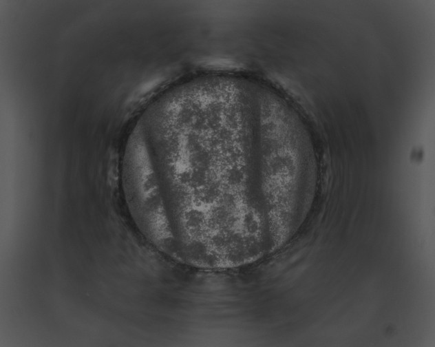 X0000091361301200708311456