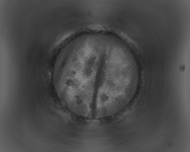 X0000091361302200708311456