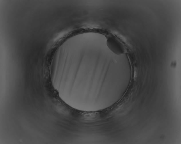 X0000091361303200708311456