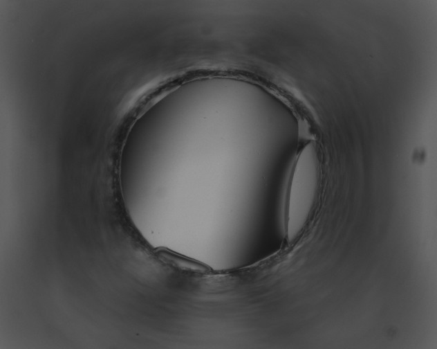 X0000091361304200708311456