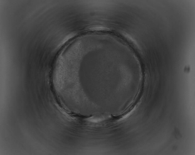 X0000091361305200708311456