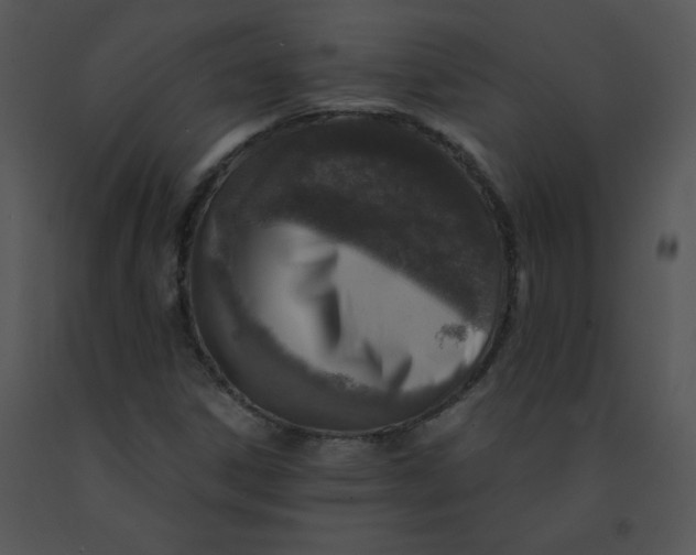 X0000091361306200708311456