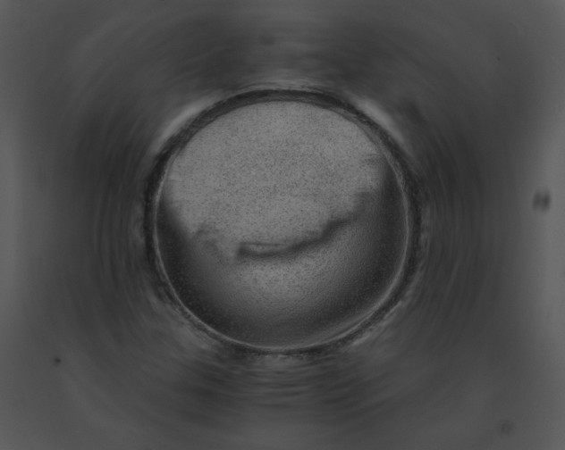 X0000091361307200708311456