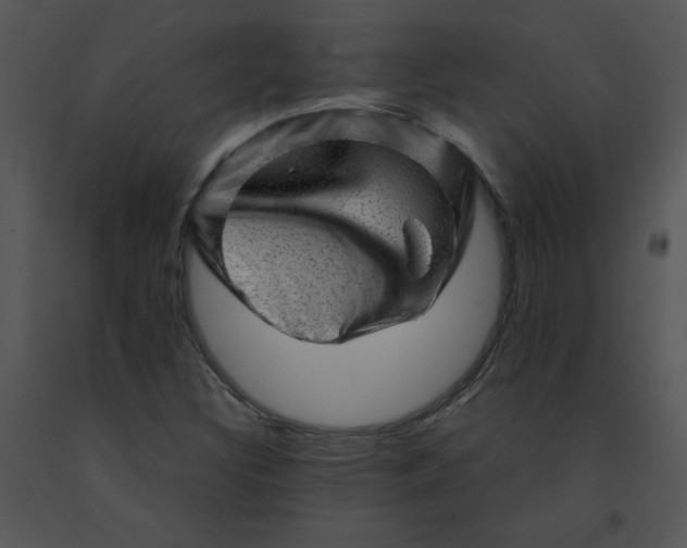 X0000091361308200708311456
