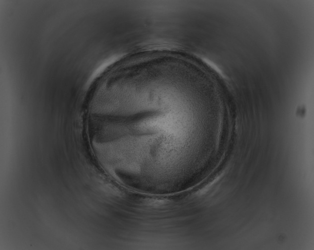 X0000091361309200708311456