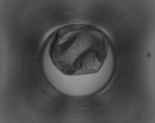X0000091361310200708311456