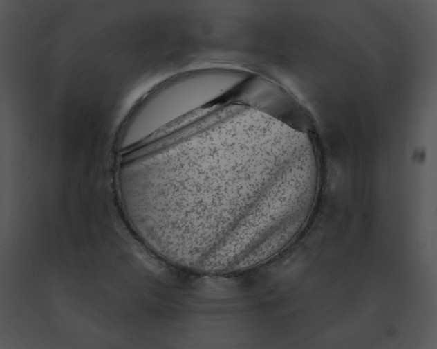 X0000091361312200708311456